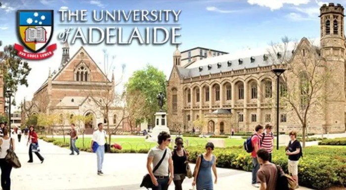 University of adelaide research scholarships uars international students s2 s3 2