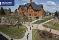 International undergraduate meritbased scholarship montana state university s1 2