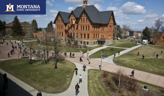 International undergraduate meritbased scholarship montana state university s1 2