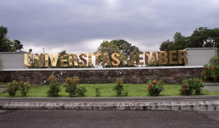 Universitas jember negeri atau swasta