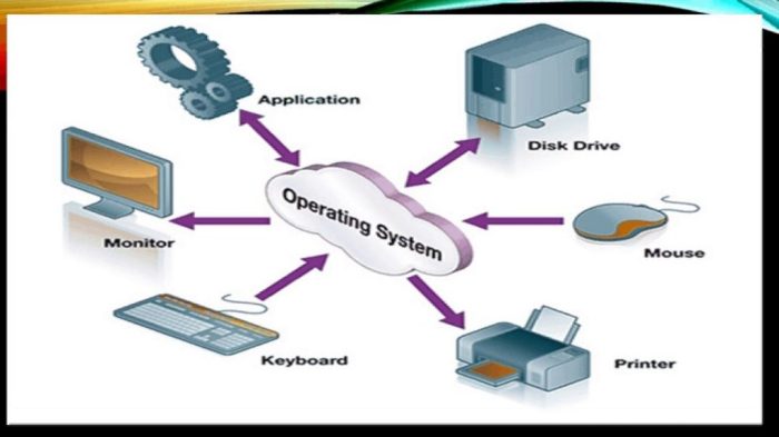 Network operating systems assignment unit system lo