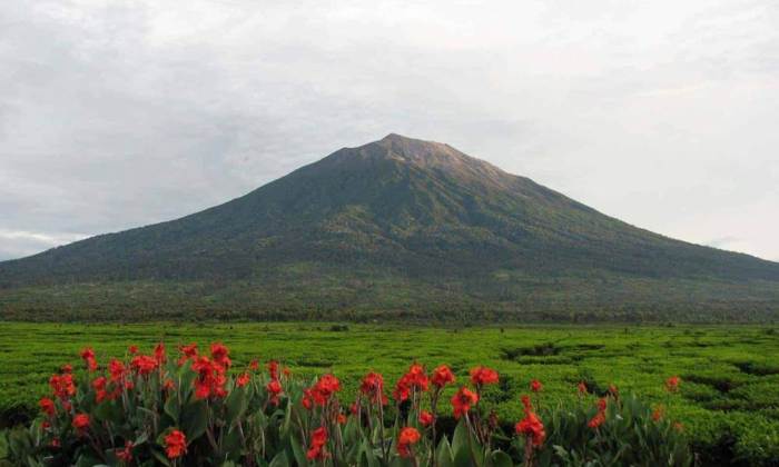 Sejarah gunung latimojong