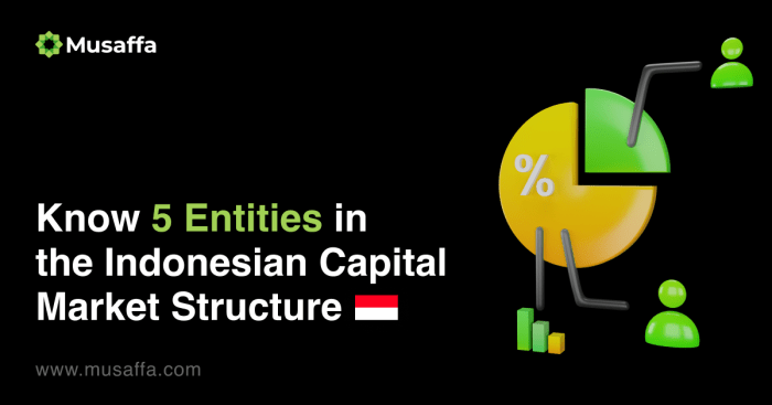 Sejarah dan perkembangan pasar modal di indonesia