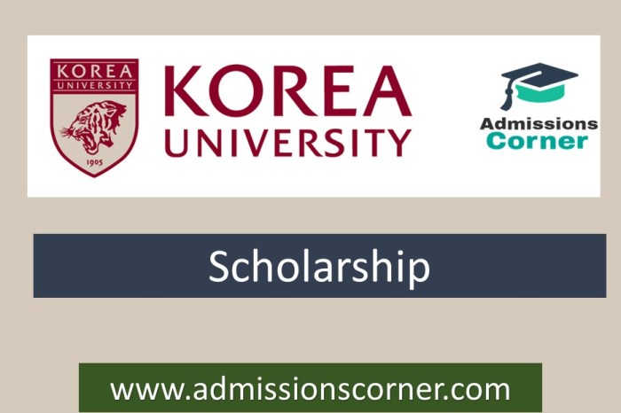 Korea university graduate scholarship s3 1