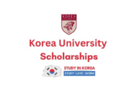 Korea university international winter campus scholarship nondegree 1