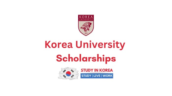 Korea university international winter campus scholarship nondegree 1