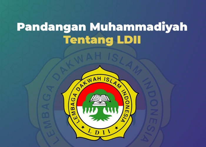 Sejarah ldii