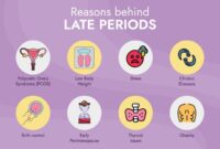 Periods delayed causes do should