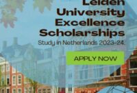 Leiden university excellence scholarship l ex s leiden university s2 1