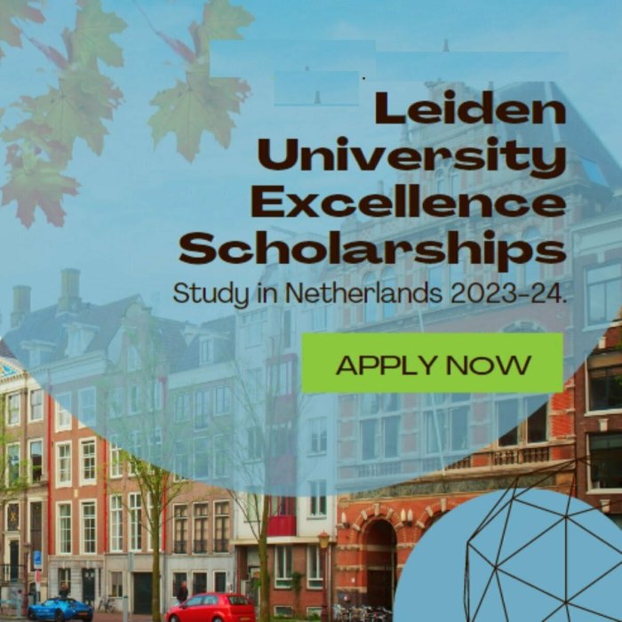 Leiden university excellence scholarship l ex s leiden university s2 1