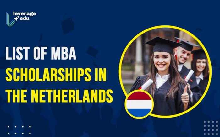 Beasiswa mba di belanda dari orange tulip scholarship