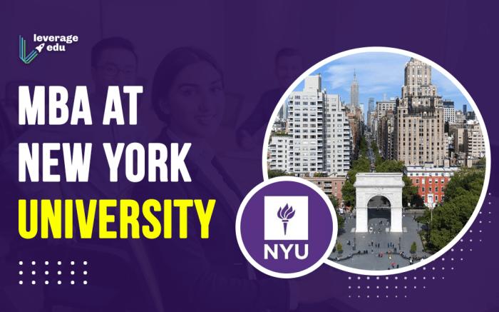 Beasiswa full mba new york university usa