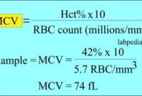 Cara menghitung hematokrit manual