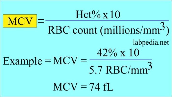 Cara menghitung hematokrit manual