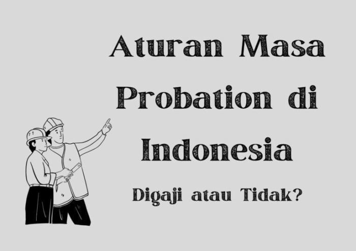 Arti probation dalam bahasa indonesia