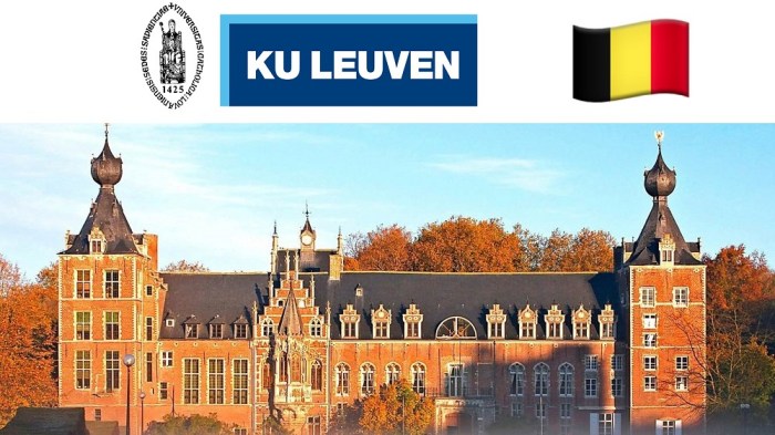 Master mind scholarship catholic university of leuven s2 1