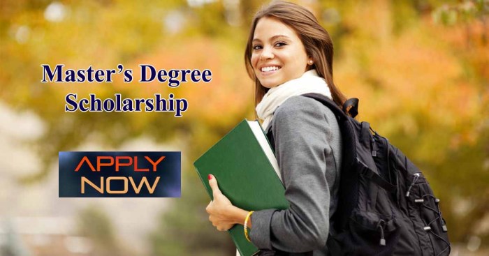 Scholarships bachelors degree master vilnius gediminas technical university