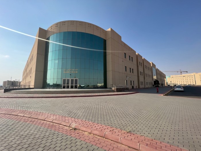 Universitas najran