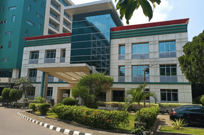 Unj dasi