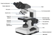 Microscope magnification science