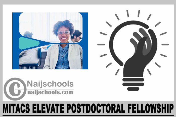 The mitacs elevate postdoctoral fellows nondegree 1