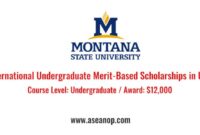 International undergraduate meritbased scholarship montana state university copy s1 2 6vh2j