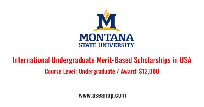 International undergraduate meritbased scholarship montana state university copy s1 2 6vh2j