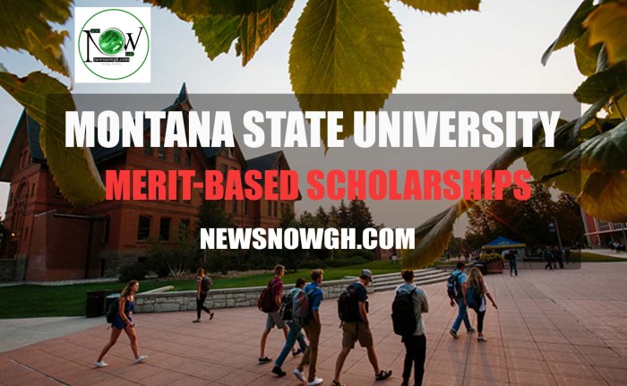 Scholarships international merit students year first chart university based state colorado aid financial