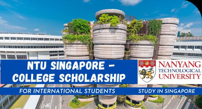 Beasiswa s3 di ntu singapura