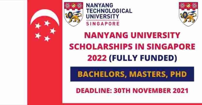 Nanyang university singapore scholarship