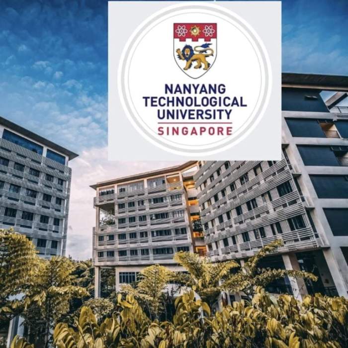 Scholarship funded nanyang fully programme