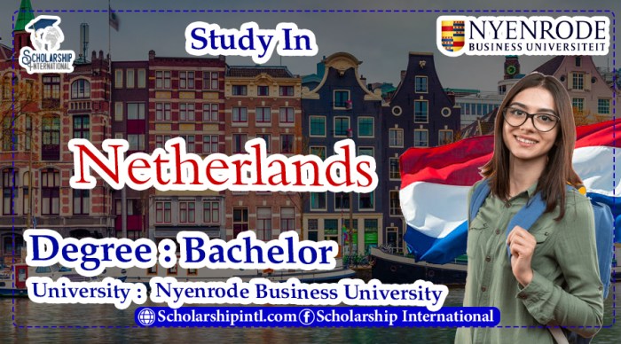 Scholarship scholarships netherlands bachelor economic eea