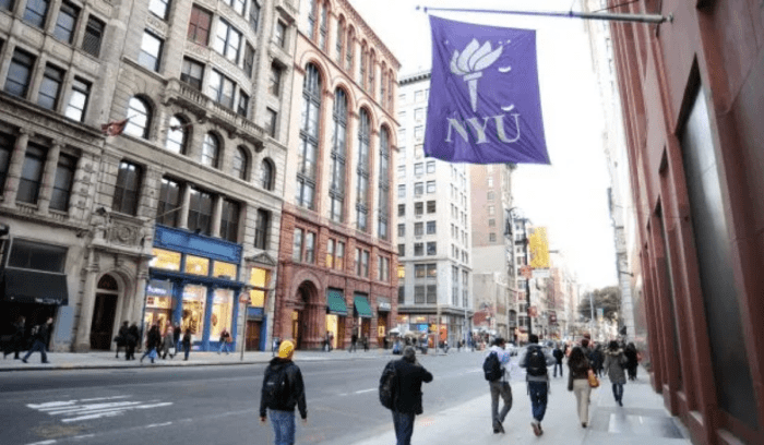 New york university abu dhabi scholarship s1 1