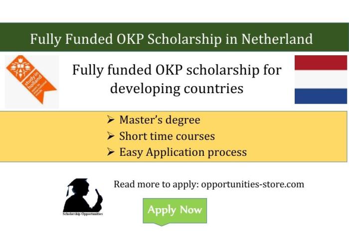 Orange knowledge programme okp short course scholarship nondegree 1