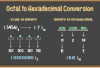 Octal hexa hexadecimal binary convert example edupointbd