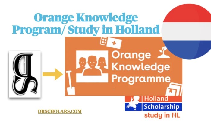 Orange knowledge programme okp short course scholarship nondegree 1