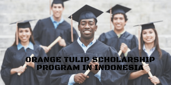 Orange tulip scholarship s2 1