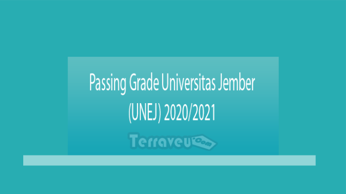 Passing grade universitas jember