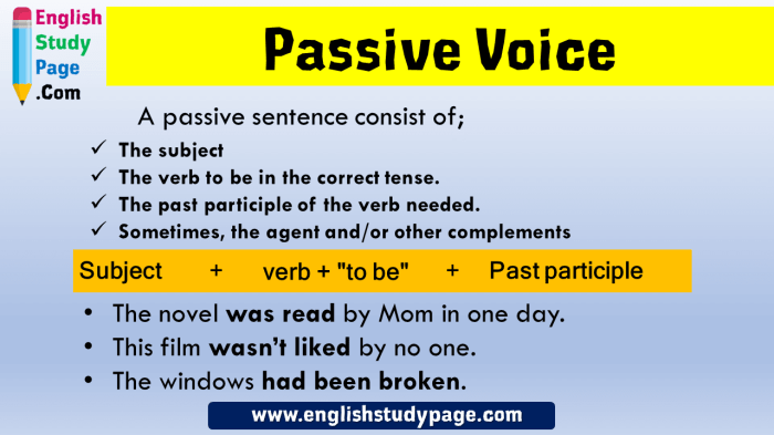 Contoh kalimat passive bahasa inggris