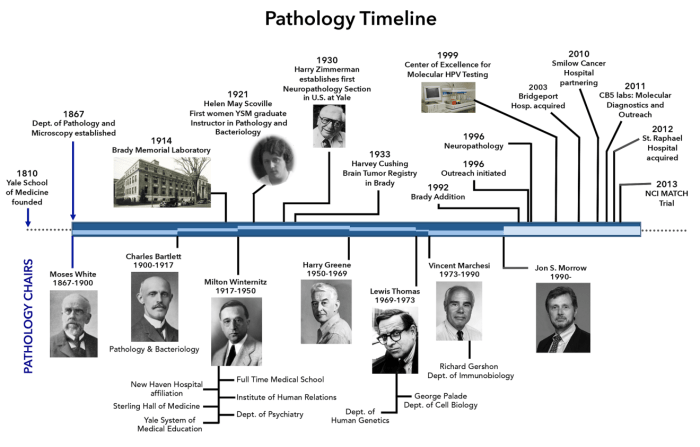 Sejarah patologi