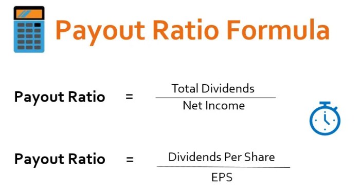 Cara menghitung dividend payout ratio dari laporan keuangan idx