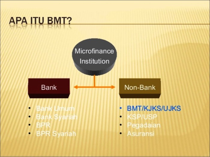 Bmt ayu pengertian