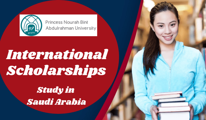 Princess nourah bint abdulrahman university external scholarship nondegree 1