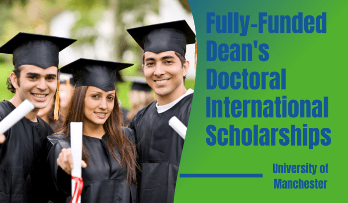 Erasmus bachelor scholarships preparation