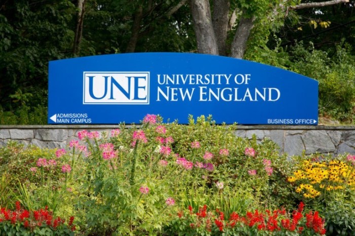 Beasiswa s2 dan s3 di university of new england australia