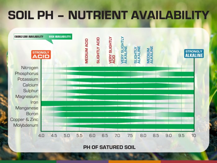 Cara menghitung ppm nutrisi hidroponik