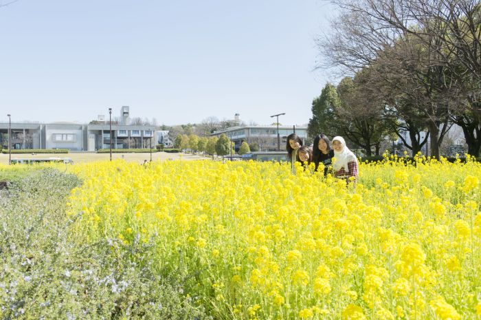 Research student program nagoya university s3 2