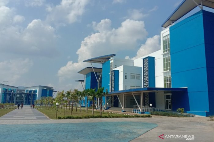 Jurusan universitas uin palembang