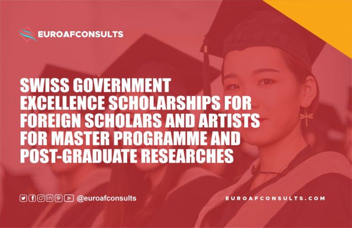 Swiss government scholarship s3 1