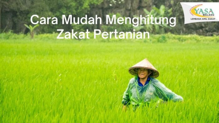 Cara hitung zakat pertanian